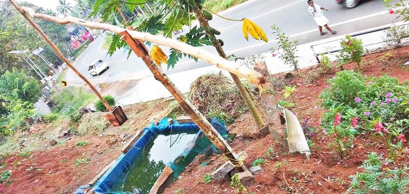 പ്രമാണം:29312 karshikamela3.jpeg