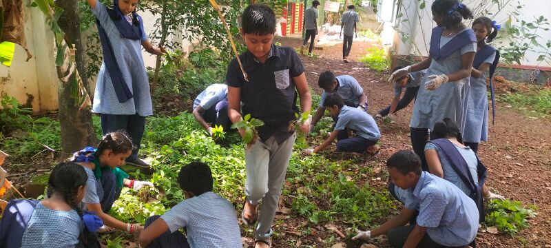 പ്രമാണം:33027 dryday4.jpeg