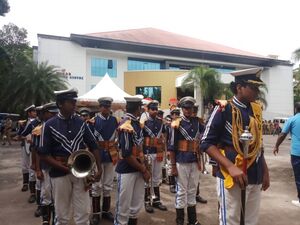 36065 band.jpg