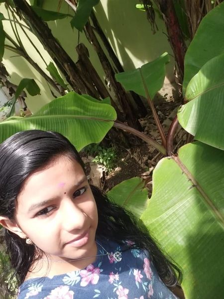 പ്രമാണം:44029 691.jpeg