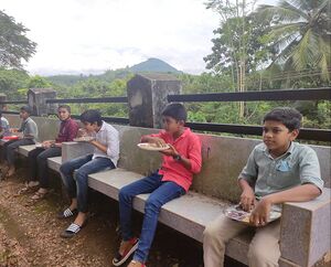 BS21 ALP 48253 2.jpg