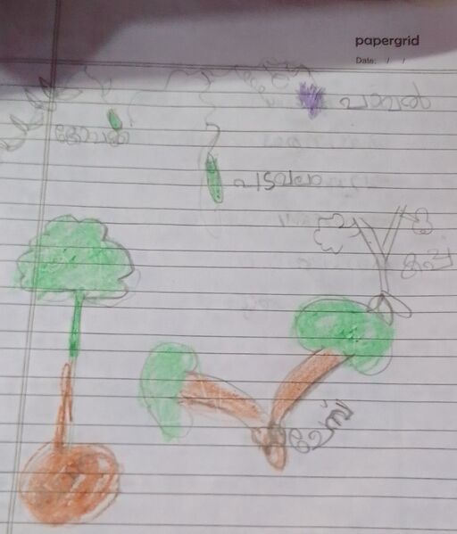 പ്രമാണം:FATHIMACS 28413 ekm.jpg