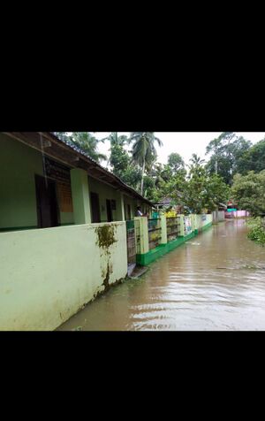 Screenshot 2020 1005 001137.jpg