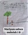 MARIYAM SAHWA MEHWISH 1B