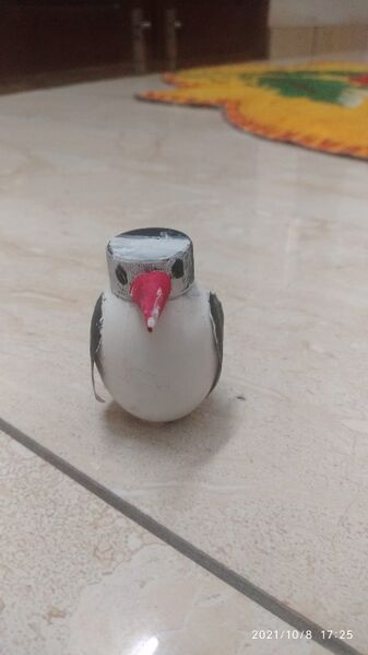 പ്രമാണം:14366 egg day.jpeg