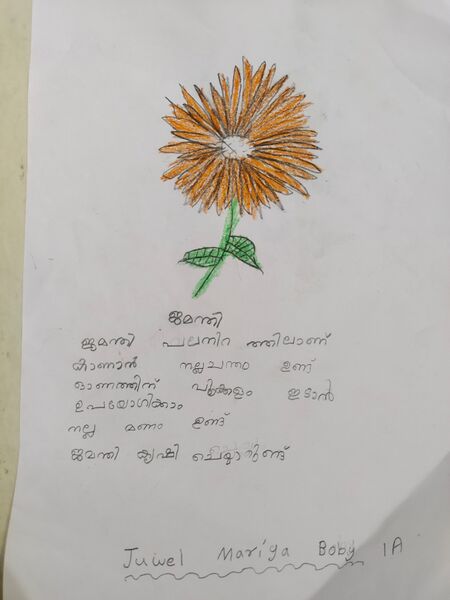 പ്രമാണം:14856-KNR-KUNJ-JEWEL MARIYA BOBY.jpg