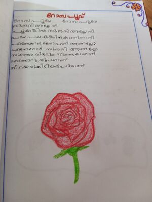 15439 WYD KUNJ-AMISH.jpeg