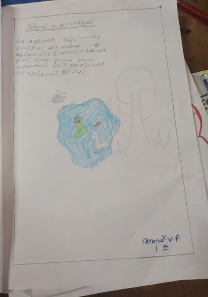 പ്രമാണം:18641-MLP-KUNJ-ANAY V P1 E.jpeg