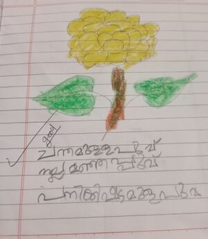 20251-PKD-KUNJ-MUHAMMED HIJAS(1).jpg