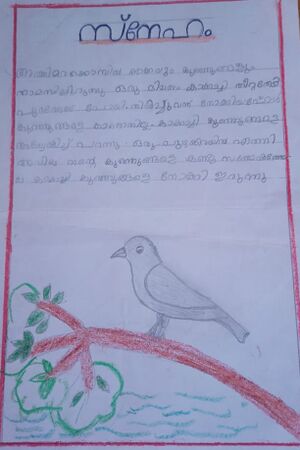 20557-PKD-ATHMIKA V.jpg