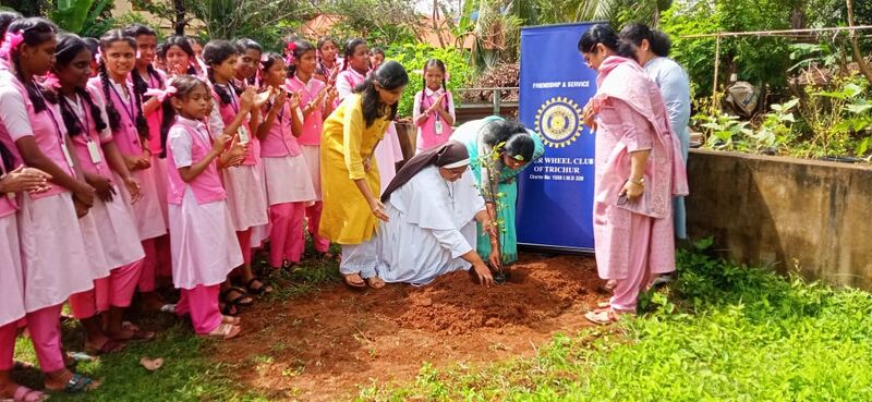 പ്രമാണം:22046 enviornment day 2024.jpg