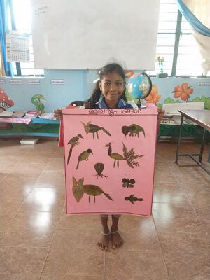 23434 leaf pictures.jpg