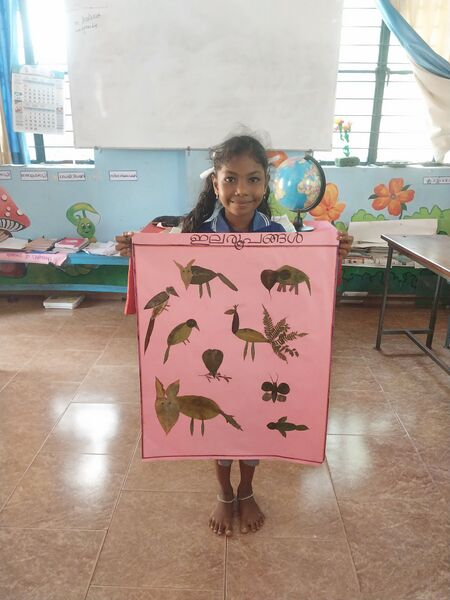 പ്രമാണം:23434 leaf pictures.jpg