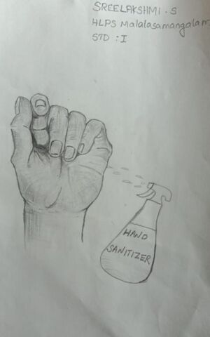 24636-Sreelakshmi -1 A.JPG