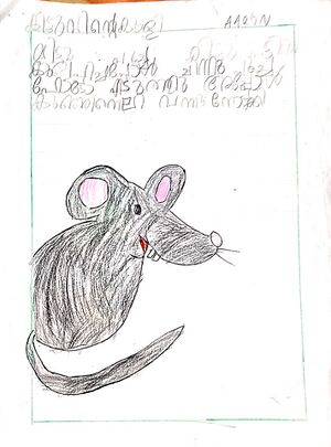 26534-EKM-KUNJ-AARON TENSON1.jpg