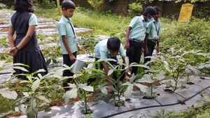 31262 agro activities1.jpg