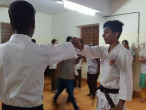 32020 defence 02.jpg