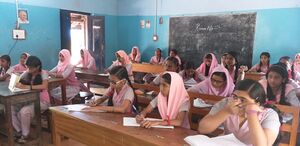 35014 littlekites2.jpg