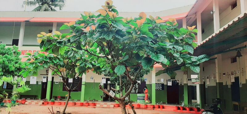 പ്രമാണം:35211p 19.jpeg