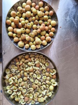 41409 Nellikka chammanthy 3.jpg