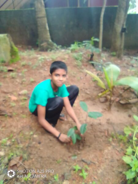 പ്രമാണം:44018 e3.jpg