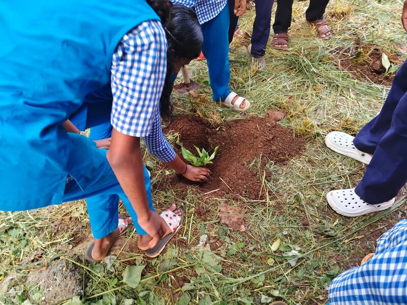 പ്രമാണം:BS PKD 21078 9.jpg