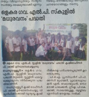 IMG 20220204 063747.jpg