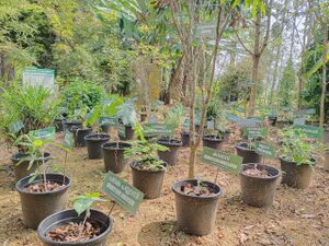 -6334681676604621111 121.jpg