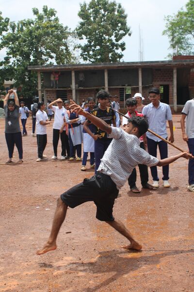 പ്രമാണം:11053 javalin.jpg