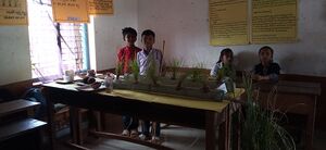 11353 Social experiment.jpg