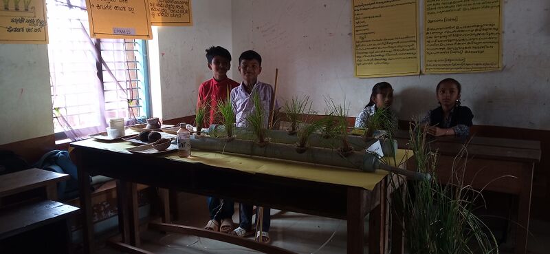 പ്രമാണം:11353 Social experiment.jpg