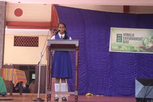 13006 environment16.jpg