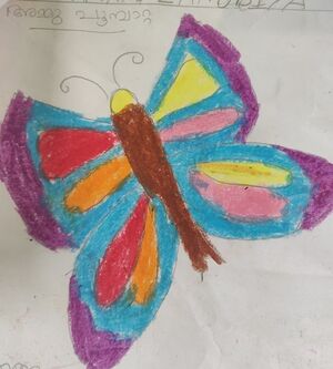 15380-WYD-KUNJ-Adwin Midhun.jpg