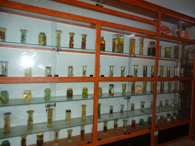 പ്രമാണം:19068 SCIENCE LAB 1.JPG