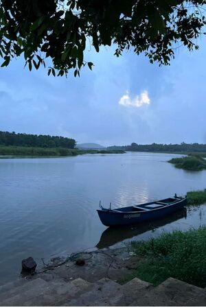 20659RIVER IN KARAKKAD.jpg