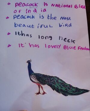 24272-TSR-KUNJ-MUHAMMED ADNAN.jpg