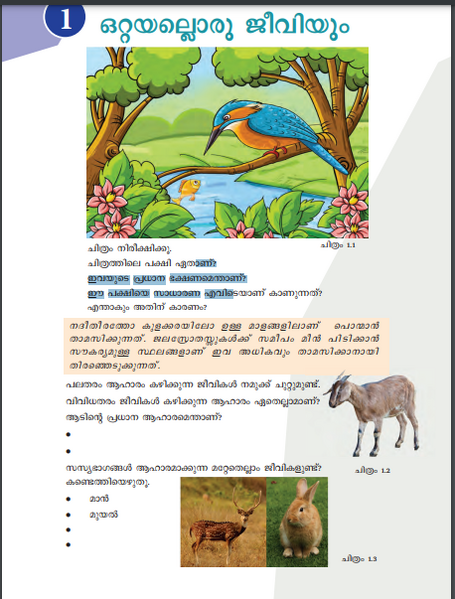 പ്രമാണം:30334 school-1.png