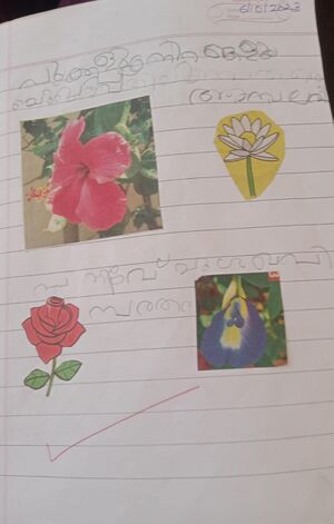 34304-ALP-KUNJ-VAIGA DAS.jpeg