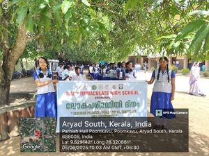 35052 environmental day 3.jpg