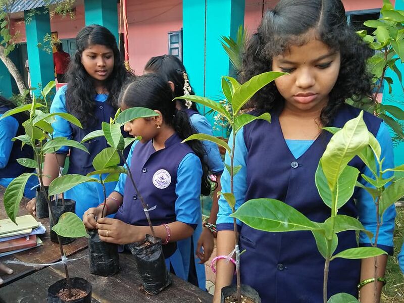 പ്രമാണം:42021 010202.jpg