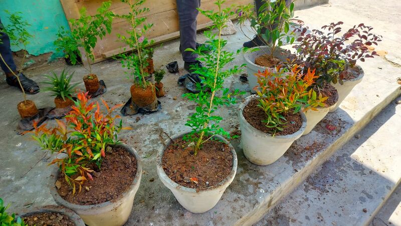 പ്രമാണം:43069 Environ day 2.jpg