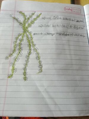 47416 KKD KUNJ ESTHER.jpeg