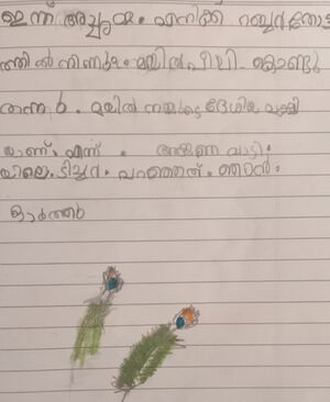 48429,mlp,kunj,kashinadh .resized.jpg