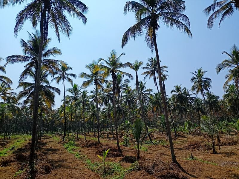 പ്രമാണം:Ente gram.jpg