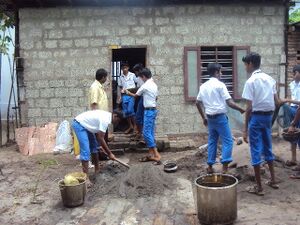 House12 35052 1 (3).jpg