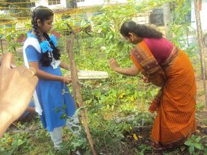 Jaivakrishi 14 35052 (1).JPG