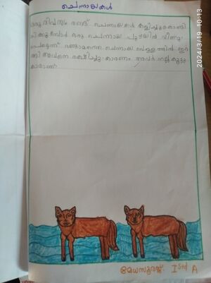 13970-KNR-KUNJ-MEDHA SOORAJ.jpg