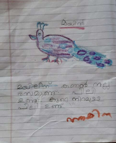 പ്രമാണം:14405-KNR-KUNJ-AMINA PP.jpg