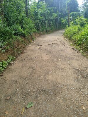 15081 Ente gramam 3.jpeg