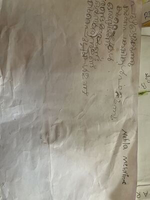 15258-WYD-KUNJ-NEHLA MEHRIN.jpg